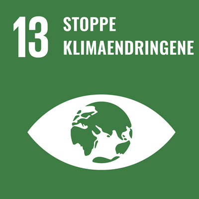 FNs bærekraftsmål nr 13
